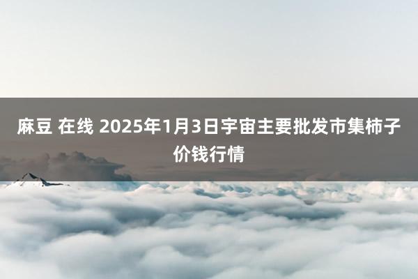 麻豆 在线 2025年1月3日宇宙主要批发市集柿子价钱行情