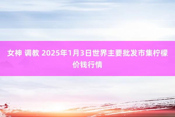 女神 调教 2025年1月3日世界主要批发市集柠檬价钱行情