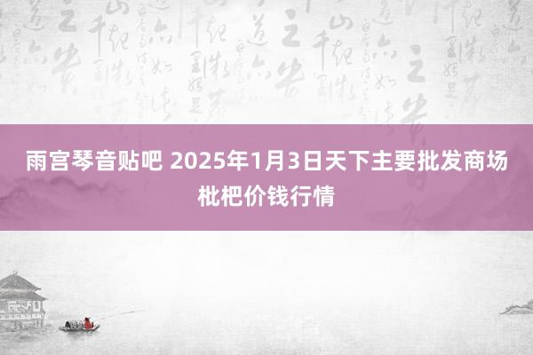 雨宫琴音贴吧 2025年1月3日天下主要批发商场枇杷价钱行情