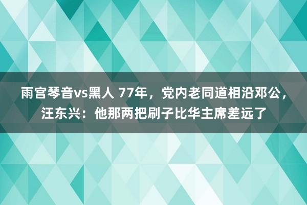 雨宫琴音vs黑人 77年，党内老同道相沿邓公，汪东兴：他那两把刷子比华主席差远了