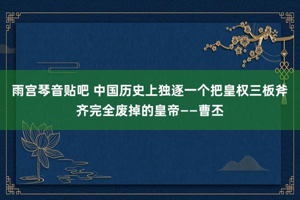 雨宫琴音贴吧 中国历史上独逐一个把皇权三板斧齐完全废掉的皇帝——曹丕