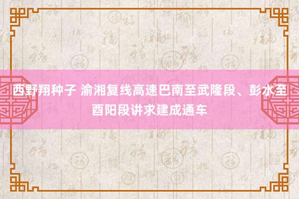 西野翔种子 渝湘复线高速巴南至武隆段、彭水至酉阳段讲求建成通车