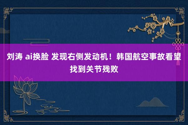 刘涛 ai换脸 发现右侧发动机！韩国航空事故看望找到关节残败