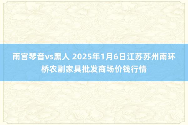 雨宫琴音vs黑人 2025年1月6日江苏苏州南环桥农副家具批发商场价钱行情