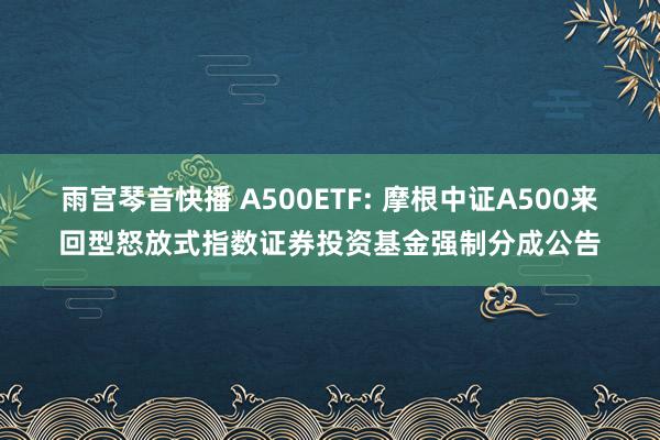 雨宫琴音快播 A500ETF: 摩根中证A500来回型怒放式指数证券投资基金强制分成公告