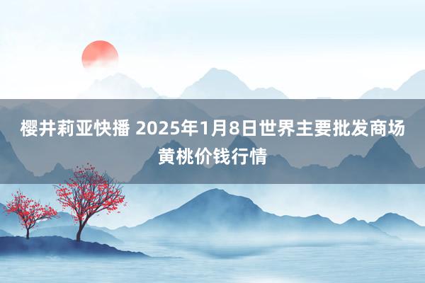 樱井莉亚快播 2025年1月8日世界主要批发商场黄桃价钱行情