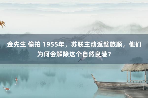 金先生 偷拍 1955年，苏联主动返璧旅顺，他们为何会解除这个自然良港？