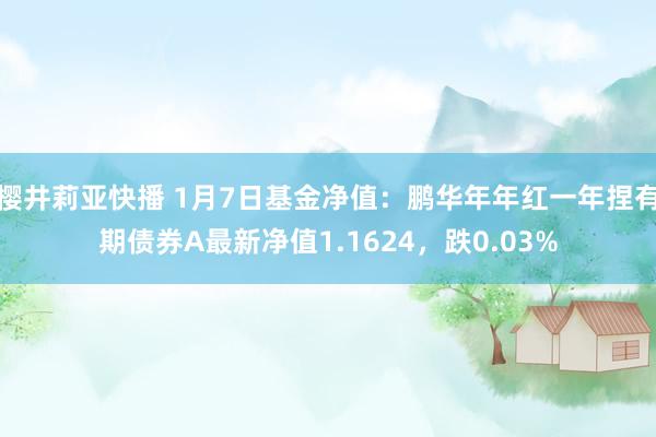 樱井莉亚快播 1月7日基金净值：鹏华年年红一年捏有期债券A最新净值1.1624，跌0.03%