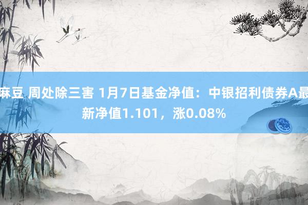 麻豆 周处除三害 1月7日基金净值：中银招利债券A最新净值1.101，涨0.08%