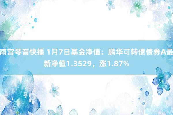 雨宫琴音快播 1月7日基金净值：鹏华可转债债券A最新净值1.3529，涨1.87%