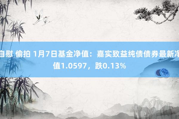 自慰 偷拍 1月7日基金净值：嘉实致益纯债债券最新净值1.0597，跌0.13%