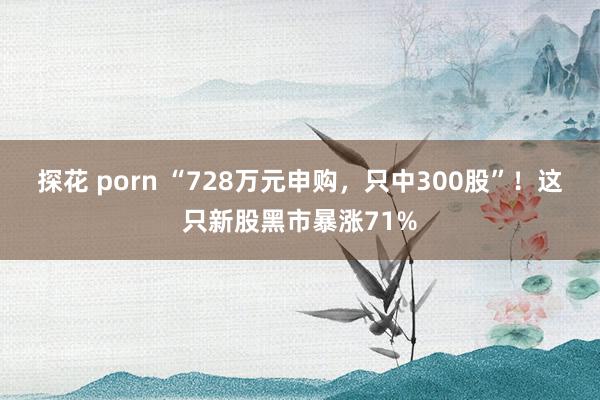 探花 porn “728万元申购，只中300股”！这只新股黑市暴涨71%