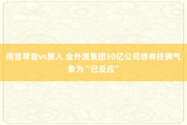 雨宫琴音vs黑人 金外滩集团30亿公司债券技俩气象为“已反应”