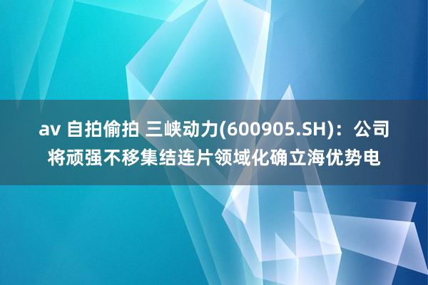 av 自拍偷拍 三峡动力(600905.SH)：公司将顽强不移集结连片领域化确立海优势电