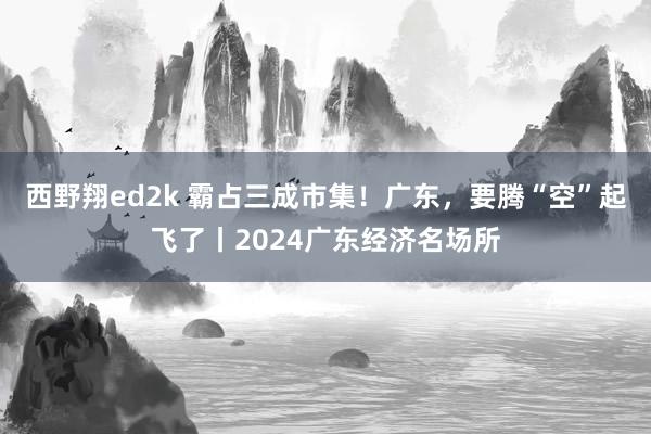 西野翔ed2k 霸占三成市集！广东，要腾“空”起飞了丨2024广东经济名场所