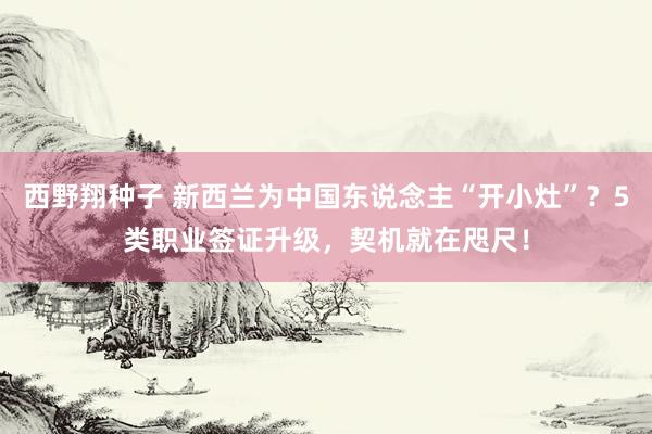 西野翔种子 新西兰为中国东说念主“开小灶”？5类职业签证升级，契机就在咫尺！