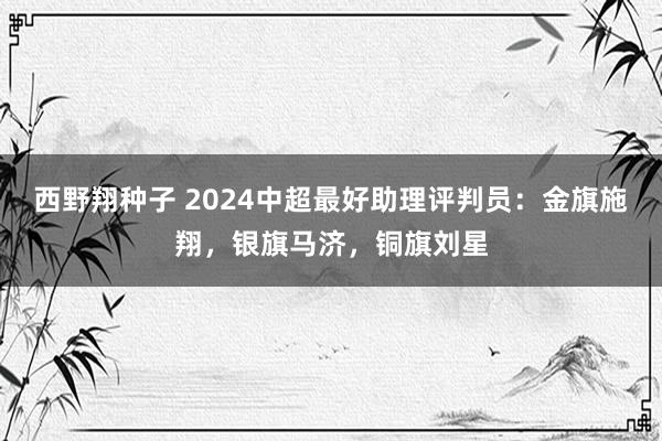 西野翔种子 2024中超最好助理评判员：金旗施翔，银旗马济，铜旗刘星