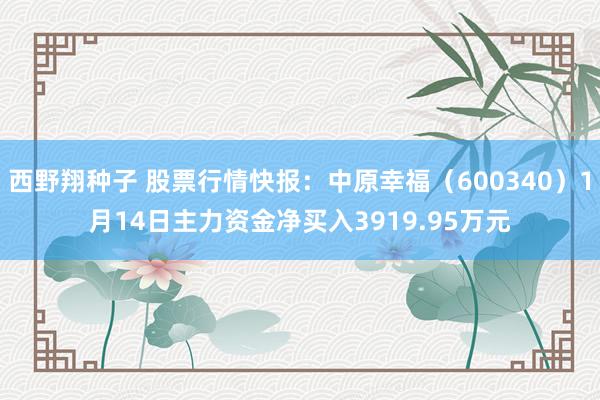 西野翔种子 股票行情快报：中原幸福（600340）1月14日主力资金净买入3919.95万元