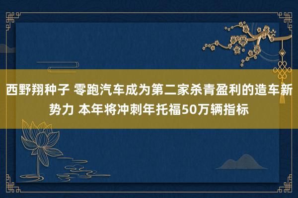 西野翔种子 零跑汽车成为第二家杀青盈利的造车新势力 本年将冲刺年托福50万辆指标